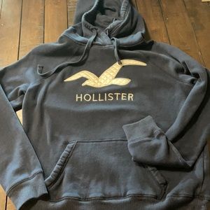 Hollister Sweatshirt